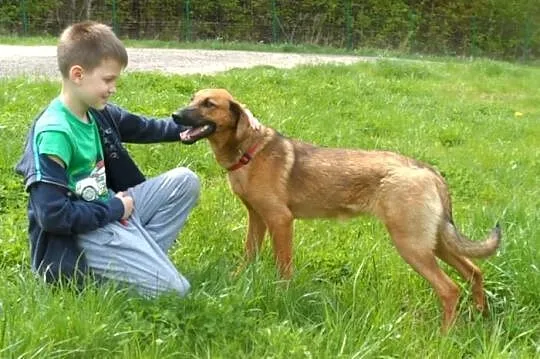 Cudny, grzeczny Tolik :)