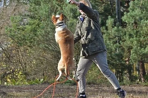 EDEK - zuch, druh i najlepszy przyjaciel :),  mazo