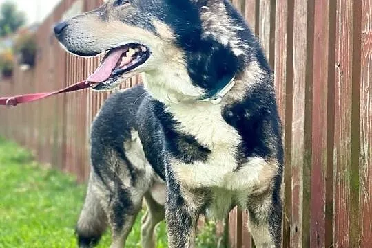 MAX i MAJLA – dwa serca i jedno tchnienie, Łódź