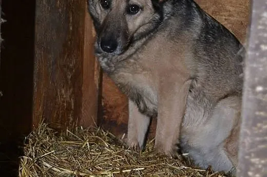 Kelly - da ci dużo szczęścia, a ty daj jej szansę:) ,  łódzkie Łódź