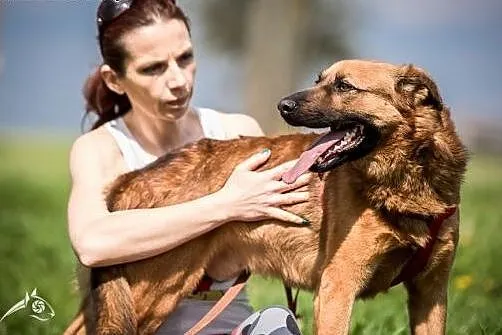 Chcesz mieć szczęśliwe życie? Adoptuj Dziurawca. :