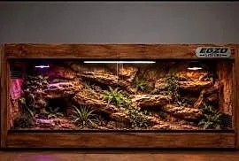 Terrarium profesjonalne dla agamy brodatej gekona lamparciego