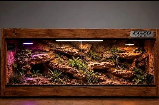 Terrarium profesjonalne dla agamy brodatej gekona lamparciego