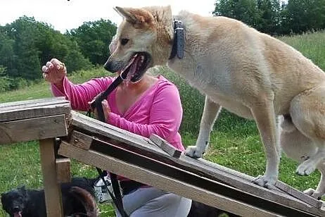 Diego- dla aktywnych osób z charyzmą,  Kundelki ca