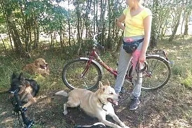 Diego- dla aktywnych osób z charyzmą,  Kundelki ca
