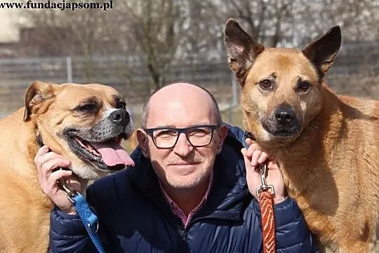 Buba - kochaną psinę do adopcji poleca Andrzej Krzywy