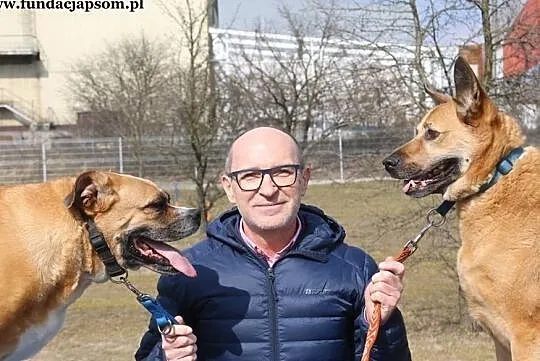 Buba - kochaną psinę do adopcji poleca Andrzej Krzywy, Mazowieckie, Nowy Dwór Mazowiecki