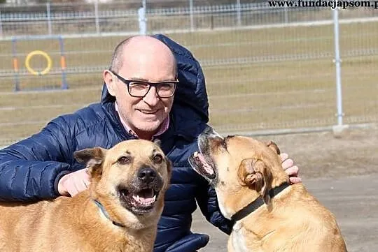 Buba - kochaną psinę do adopcji poleca Andrzej Krzywy, Mazowieckie, Nowy Dwór Mazowiecki