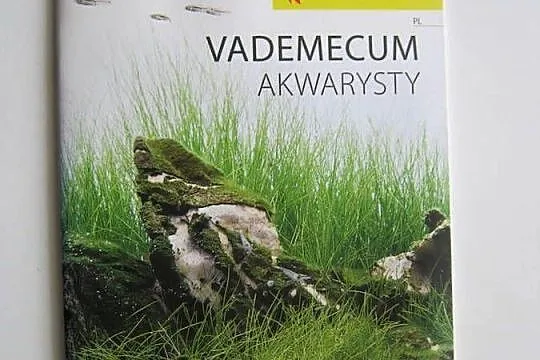 Akwarium używane 52 litry, Lubelskie, Lublin