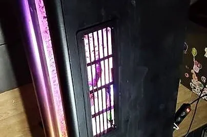 Duże wiszące terrarium, Śląskie, Dąbrowa Górnicza