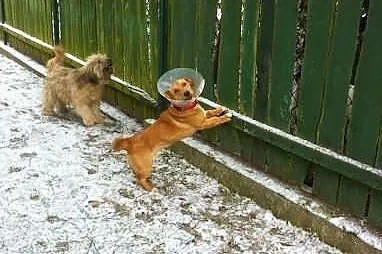 Słodki jak miód...