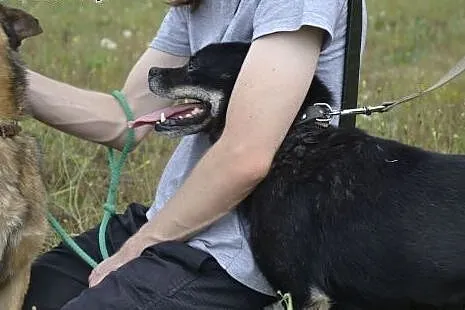 Małpiatkowi nic nie brakuje - ma 4 łapki, oczka, o