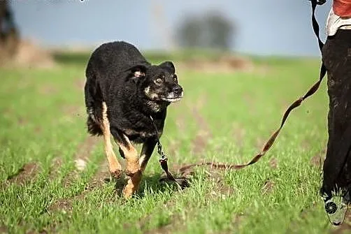 WŁODEK - nienachalnej urody i duchem taki młody! ,