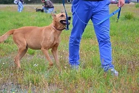 Masza czeka nadal... mimo że niczego jej nie braku