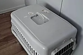 transporter dla psa lub kota