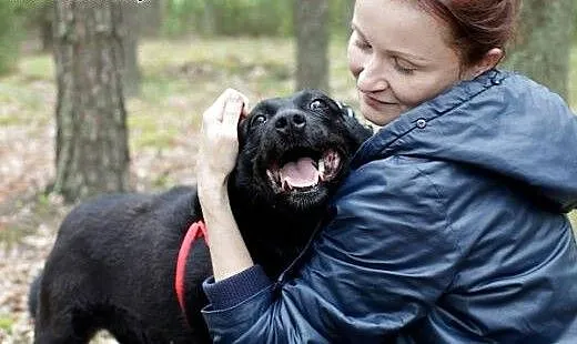 Śliczna Cyganka czeka na swojego człowieka , mazo