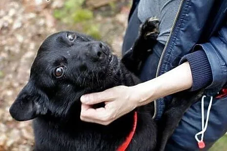 Śliczna Cyganka czeka na swojego człowieka ,  mazo