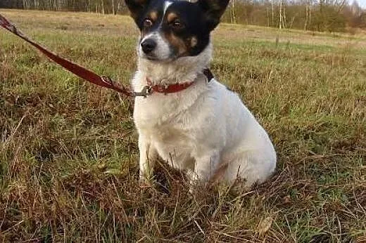 Amigo nie ma nic - zimna buda i pusta miska to jeg