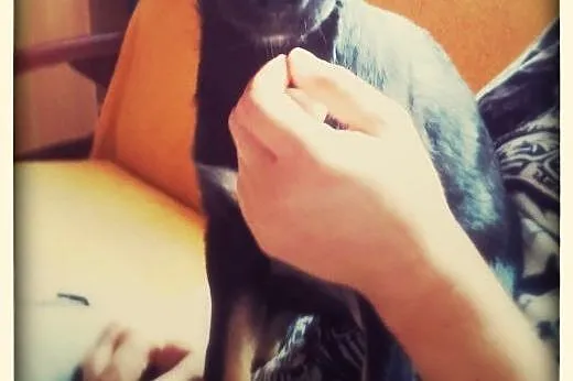 Mam 3,5 miesiąca czy ktoś mnie pokocha? ,  Kundelk