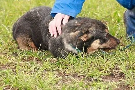 Heniutka nie miała łatwego życia daj jej szansę ad