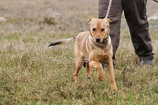 Trini czeka na ciepły i kochający dom. My czekamy 