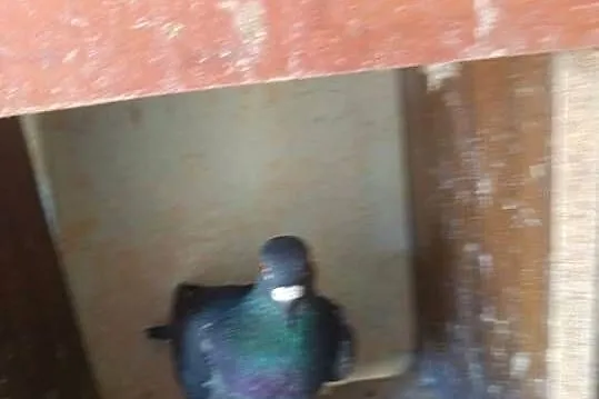 Sprzedam gołębie pocztowe 20 sztuk WYSYŁKA, Kujawsko-pomorskie, Osięciny