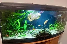 Akwarium zestaw