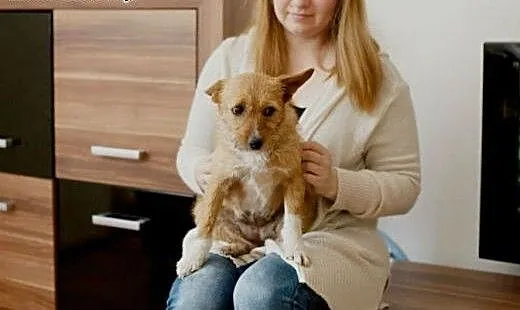 Cudna Rudzia szuka domku :), Kundelki cała Polska