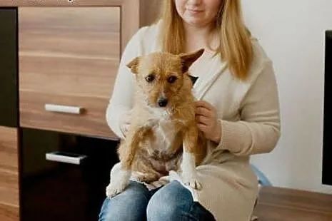 Cudna Rudzia szuka domku :),  Kundelki cała Polska