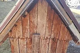 Sprzedam budę