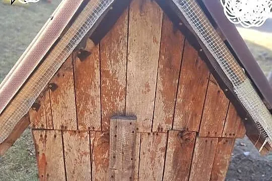 Sprzedam budę