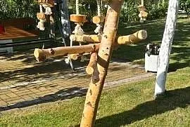 Brzozowy stojak dla większych papug