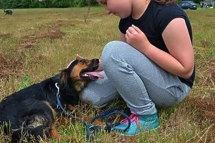Młoda sunia Alis szuka troskliwego domu,  śląskie 