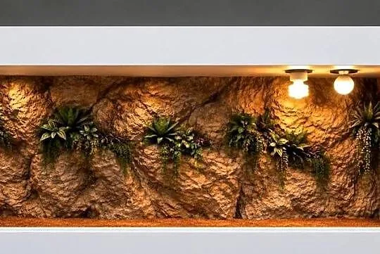 Terrarium dla agamy brodatej żółwia greckiego