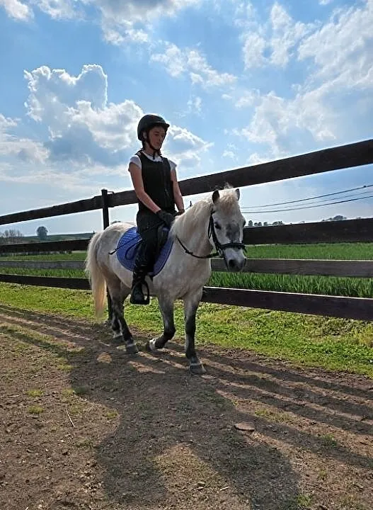 Kupię konia!, ,