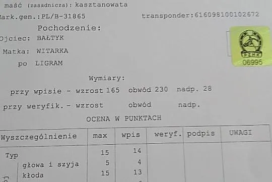 Ogier pkz, Mazowieckie, Radom
