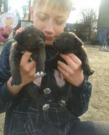 Piękne, wesołe szczeniaki do adopcji!, mazowiecki