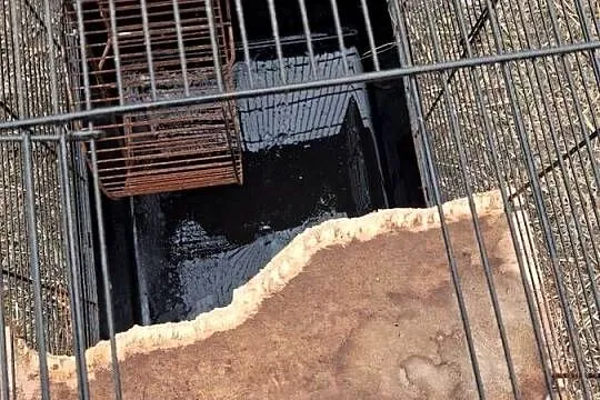 Klatka z kołowrotkiem, Śląskie, Dąbrowa Górnicza