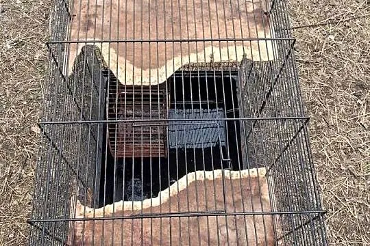 Klatka z kołowrotkiem, Śląskie, Dąbrowa Górnicza