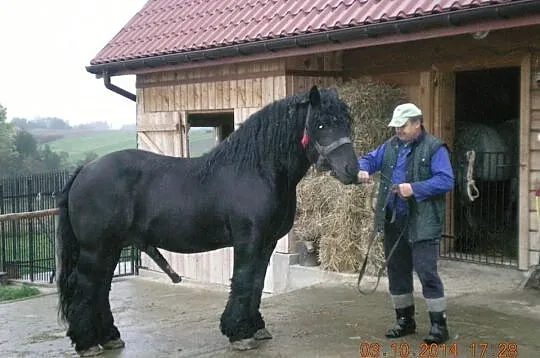 Stanówka
