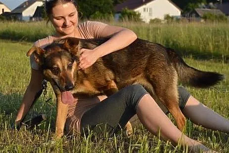 Diana - historia prawdziwa, fatum w tle. ,  śląski