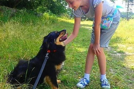 Frida- piękna sunia do adopcji,  mazowieckie Warsz