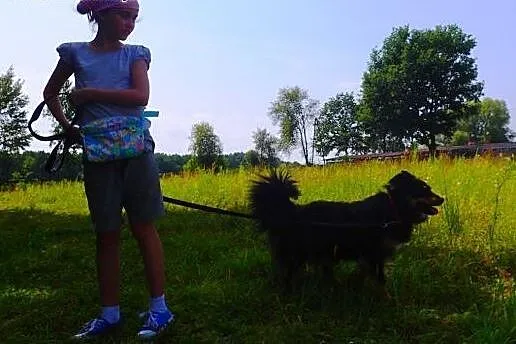 Frida- piękna sunia do adopcji,  mazowieckie Warsz