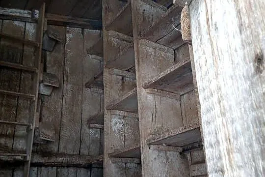 Sprzedam gołębnik, Mazowieckie, Płońsk