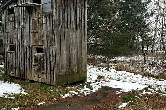 Sprzedam gołębnik, Mazowieckie, Płońsk