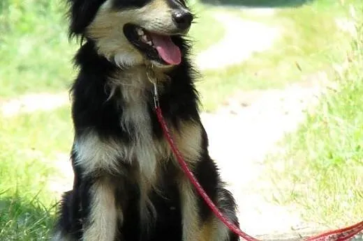 Zjawiskowy Dyzio szuka człowieka,  mazowieckie War