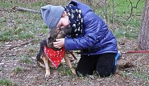 Apuś młodziutki, łagodny słodziak do adopcji, Kun