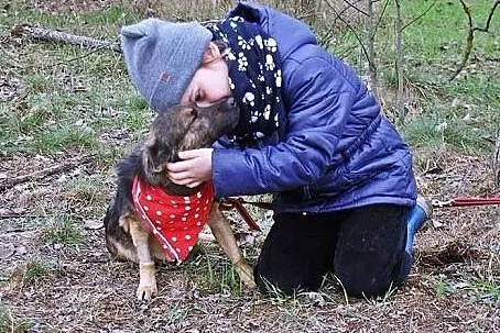 Apuś młodziutki, łagodny słodziak do adopcji, Kundelki cała Polska
