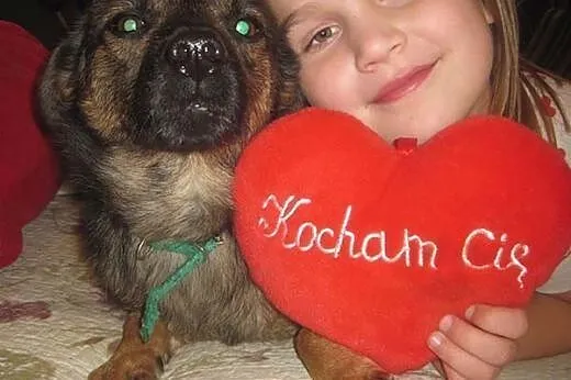 Apuś młodziutki, łagodny słodziak do adopcji,  Kun
