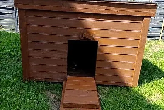 Kacznik domek dla kaczek, Opolskie, Grodziec